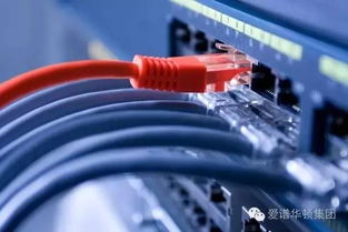 爱谱华顿彩色布线解决方案 助力信息系统高效运维